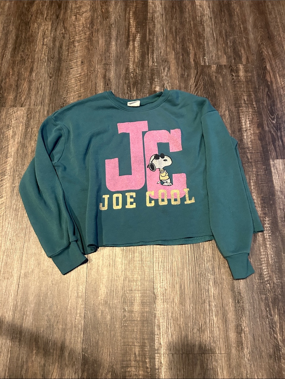 Peanuts Teal Joe Cool Cropped Crewneck Sweatshirt with Pink Graphic